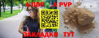 стаф Моздок