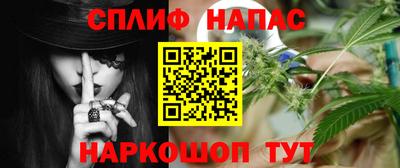 стаф Моздок
