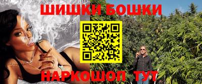стаф Моздок
