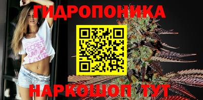 стаф Моздок