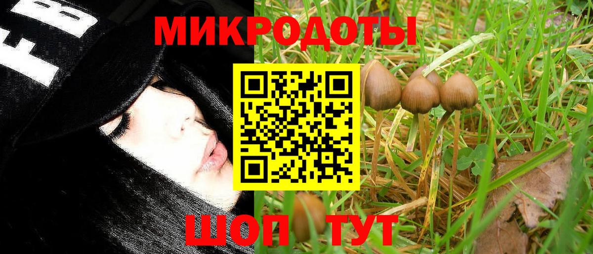 Сосновоборск  Галлюциногенные грибы мухоморы  Галлюциногенные грибы прущие грибы  Вход с VPN 