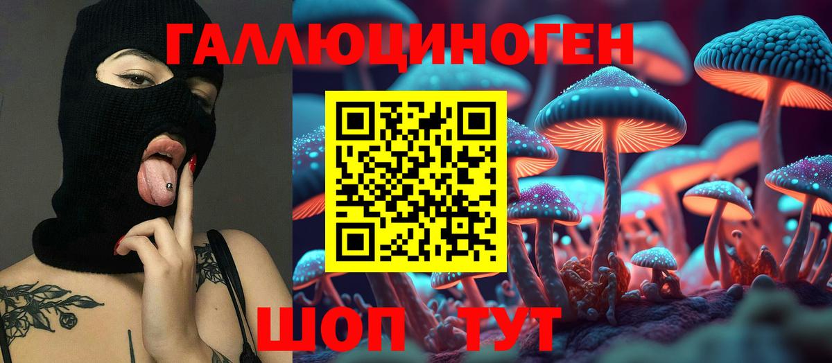 Псилоцибиновые грибы Cubensis Сосновоборск